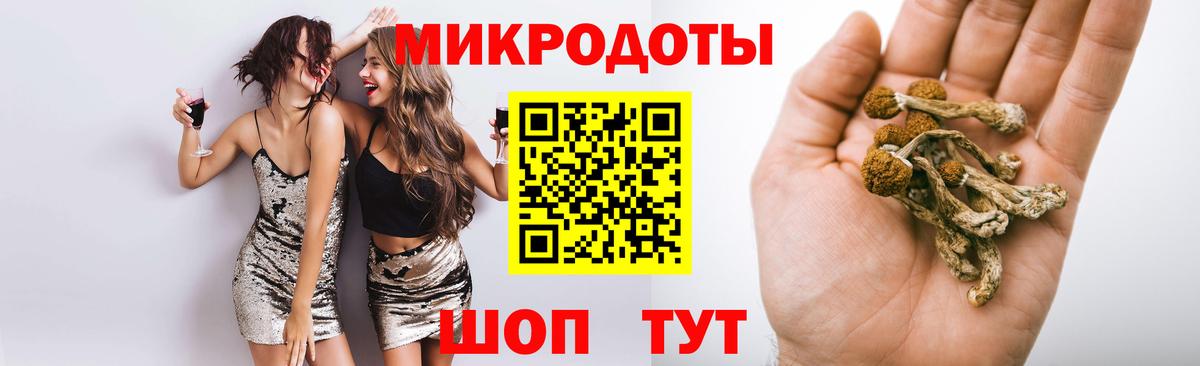 Галлюциногенные грибы Psilocybine cubensis Десногорск
